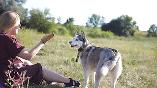 husky dog breed