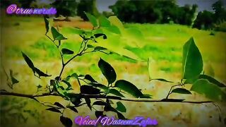 Heart sad touching sad urdu poetry
