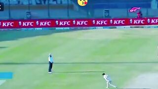 Best cricket