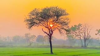 My village view