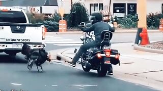 Funny