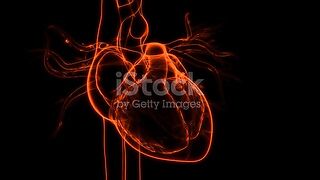 Heart beat ????