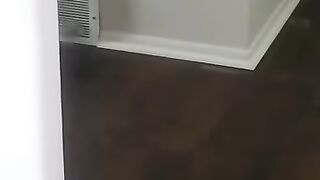 Funny animals - Funny cats - dogs - Funny animal