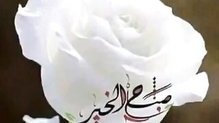 Good morning