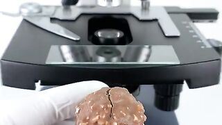 Ferrero Rocher under a microscope