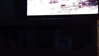 السنجاب