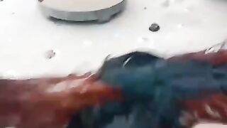 Chicken near
