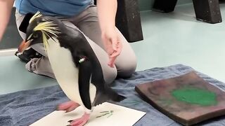 penguin animal