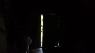 24 hours SOLO GIRL in an abandoned HOUSE ASMR#24HoursASMR #SoloGirlExperience