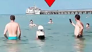 Injured Shark