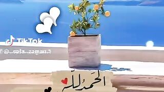كيف ربح من تطبيق