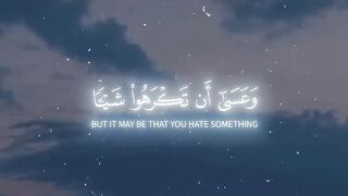 Rest your heart