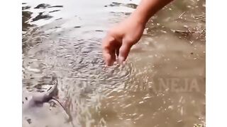 agora quero peixe pra criar, e dá comida na boca