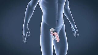This is how penis enlargement is done. Step by Step#PenisEnlargement #StepByStep #HowTo #MaleEnhancement