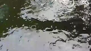 Jika airkolam sudah seperti ini segera ganti atau kocor