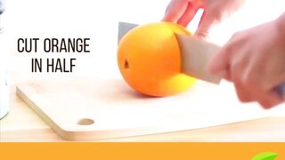 Best Juicer Machine