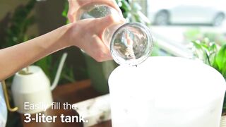 3L Silent Humidifier & Essential Oil Diffuser for Healthy Air