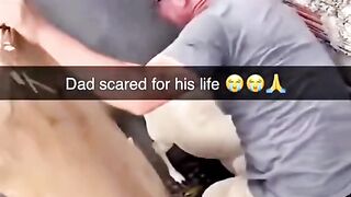 Playing with animals