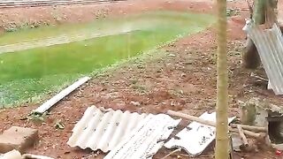 Jika air kolam TANAH sudah seperti ini jangan tunggu lama, segera tebar bibit lele