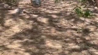 Snake trying to eat man