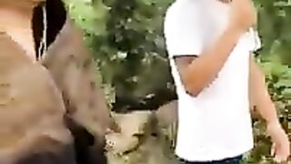 Japanese Funny video