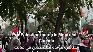 Pro-Palestine march in Montreal, Canada