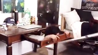 ISSEI funny video _ ISSEI Best TikTok January 2022 Part 86 #shorts.