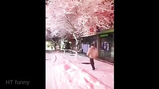 best funny video - try not to laugh