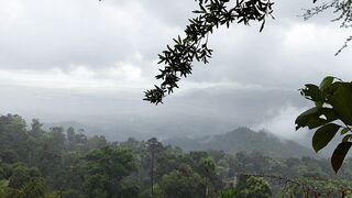 Rain mountain