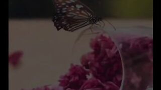 VID-20241218-WA0000.
