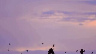 Nature is so beautiful