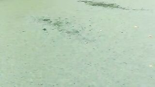 Jika air kolam seperti ini tambah air luberin asal kolam ada drainasenya pasti kebuang