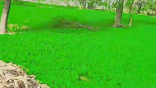 Bahut hi khubsurat video