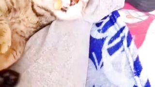 Wacky Pet Antics You Won't Believe!