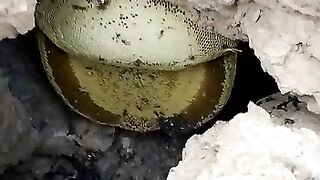 Mountain honey