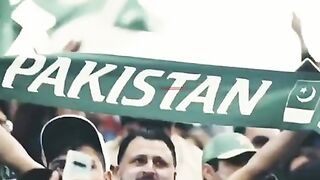 Best cricket