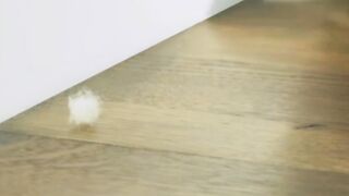 Shark cleaing robot l Amazon gadgets l clean home ai robot