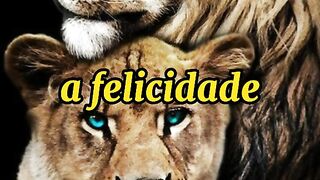 Mensagem de motivação do dia