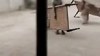Funny videos