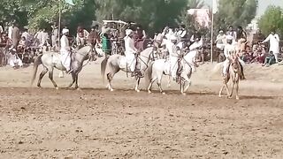 Horse pegging