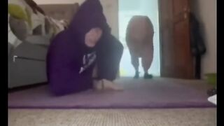 Funny memes on tiktok