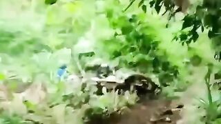 Funny videos Part 1 ????