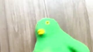 Random memes