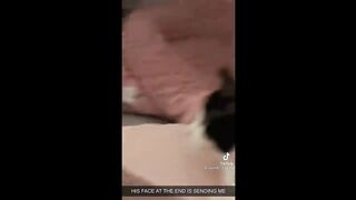 BEST CAT MEMES COMPILATION OF 2022 PART 3