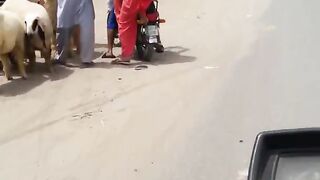 Lahore To Gujranwala By Road