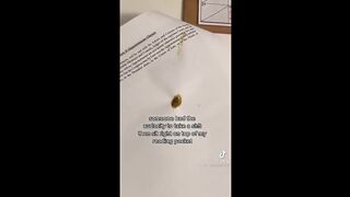 FUNNY CAT MEMES COMPILATION OF 2022 PART 4