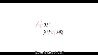 Love Is like a Cat (2024) Watch Episode 9
