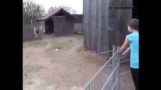 Donkey & Little Girl