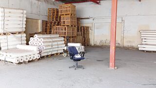قطة جميلة