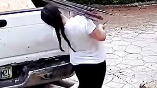 Funny videos compilation